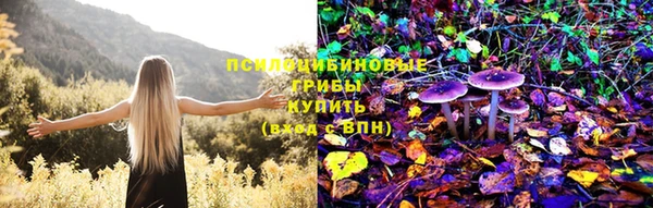 молекула духа Абдулино