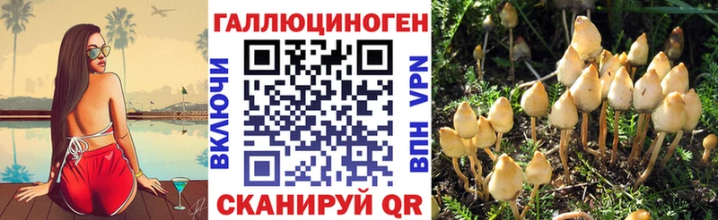 хочу наркоту  Абаза  Галлюциногенные грибы мухоморы 